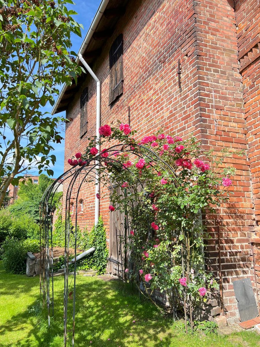 Rosentor am Klinkergebäude